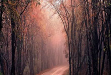 亚洲女足杯火热开幕！