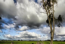 纳姆比夏代表团体操选手向世界发起挑战