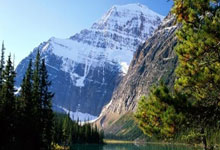 巴西女足获得胜利，晋级到半决赛