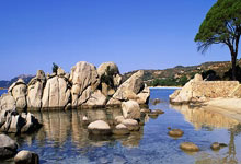 快攻狂欢！球队快节奏出击，轻松击败对手